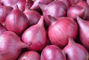 onion